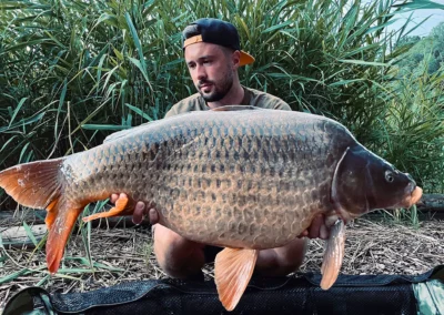 Dan Marchis