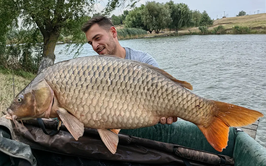 Iulian Marin